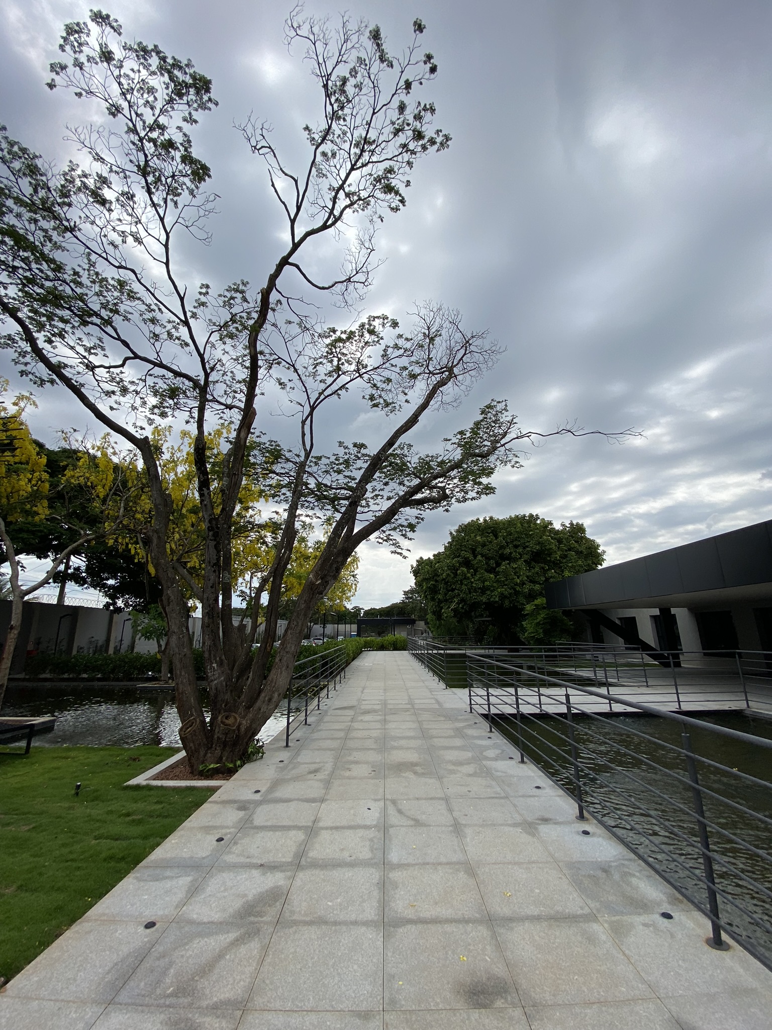 Instituto João Bittar