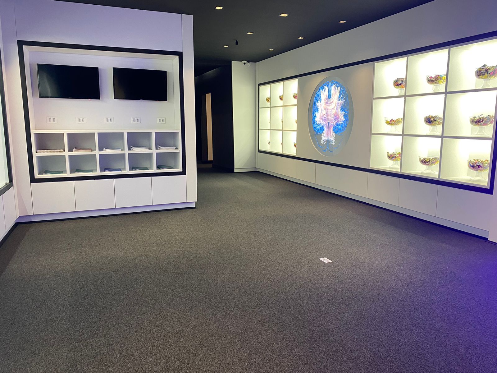 Instituto João Bittar 5